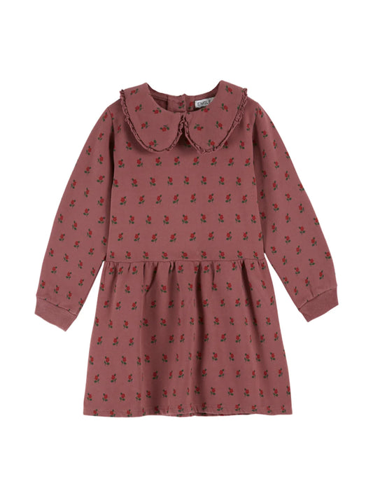 Sweatshirt Dress, Poppy