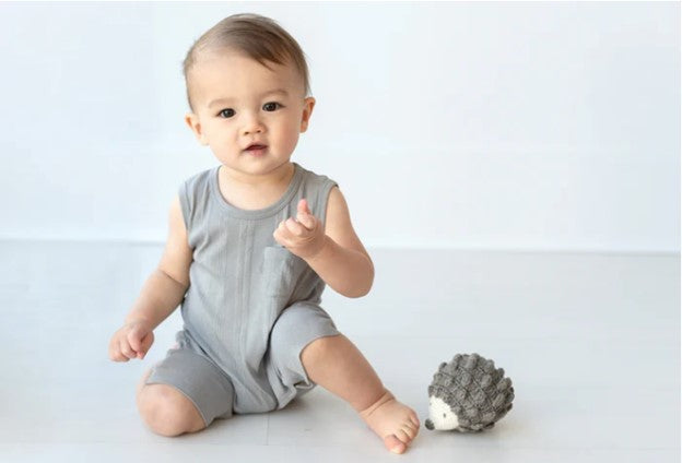 Hedgehog Rattle