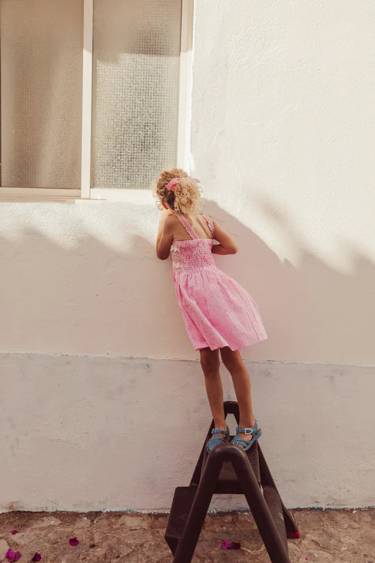 Tessa Dress, Pink Gingham