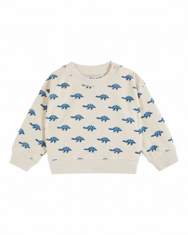 Terrycloth Sweatshirt, Turtles