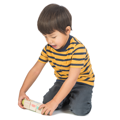 Tender Leaf Toys - Twisting Cubes