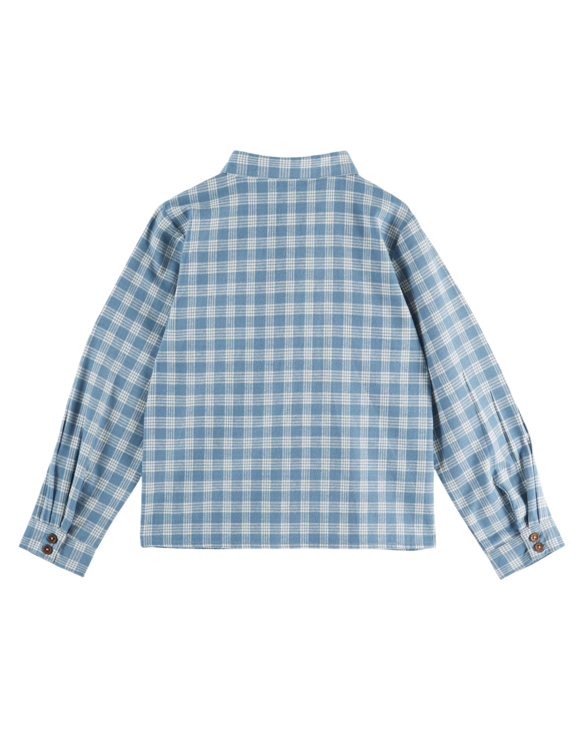 Gingham Shirt, Blue and White Checks