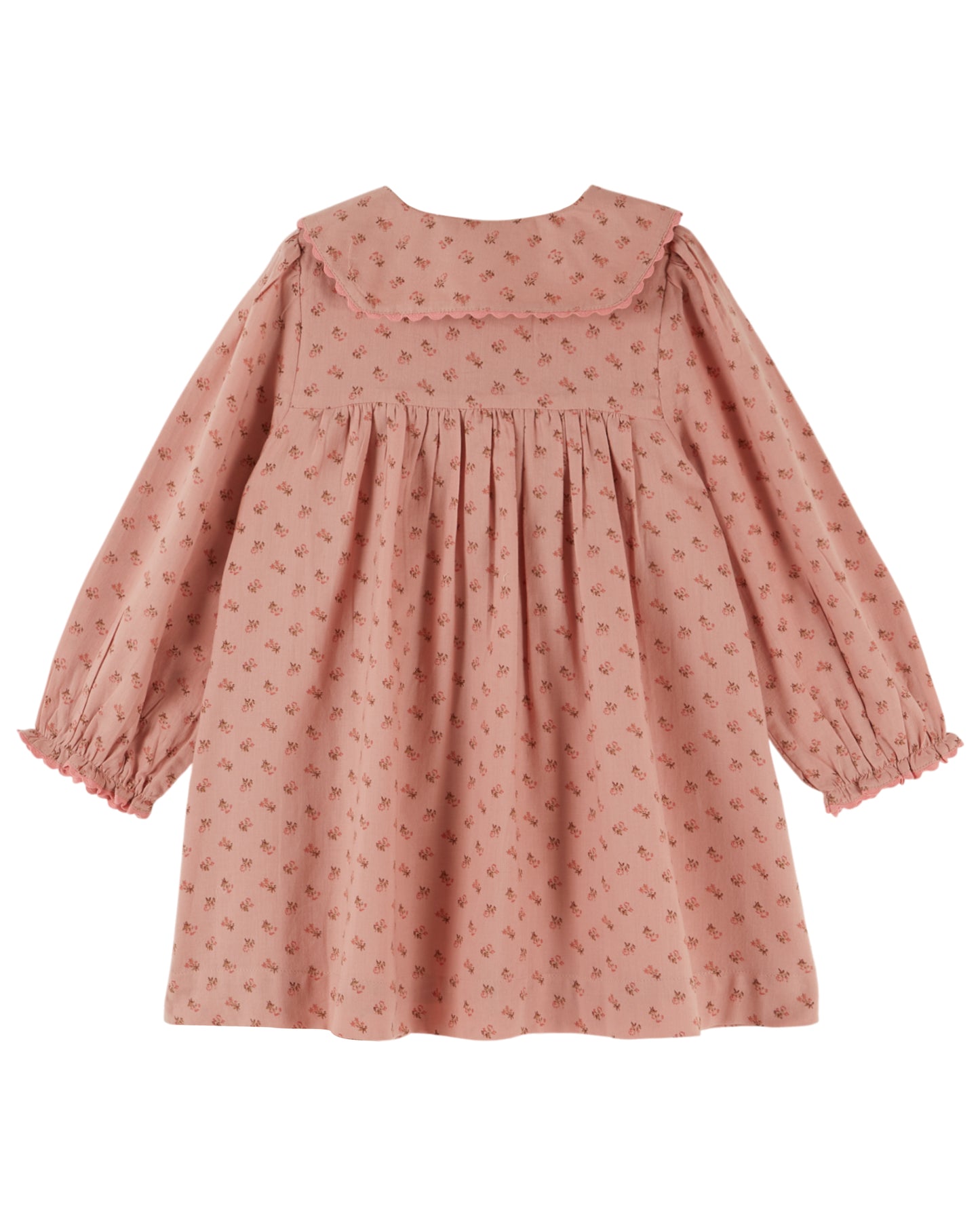 Buttoned Dress, Rosemary
