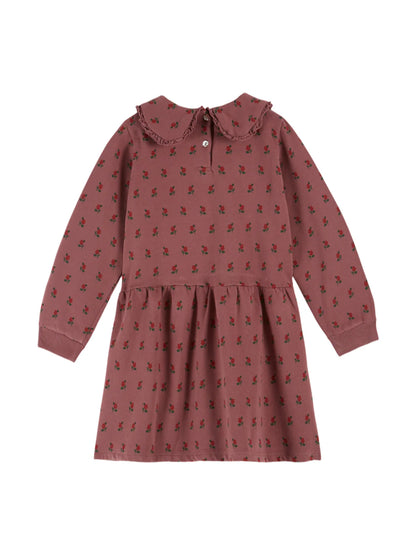 Sweatshirt Dress, Poppy