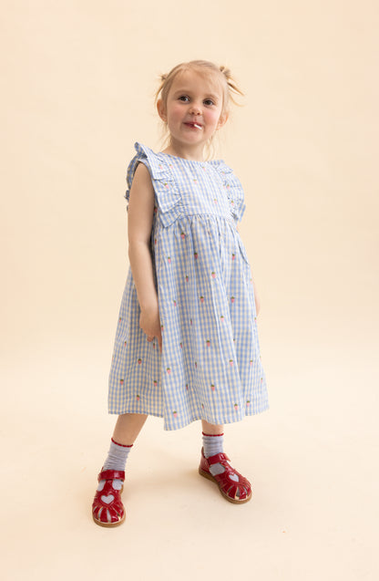 Millie SL Dress, Sky Berry Gingham