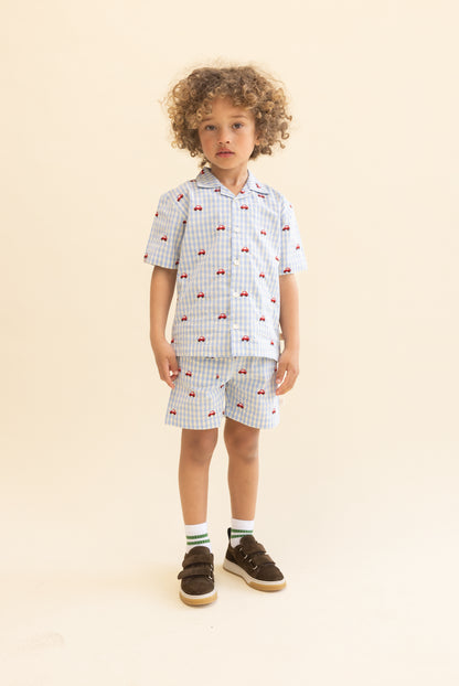 Albert Shorts, Blue Gingham