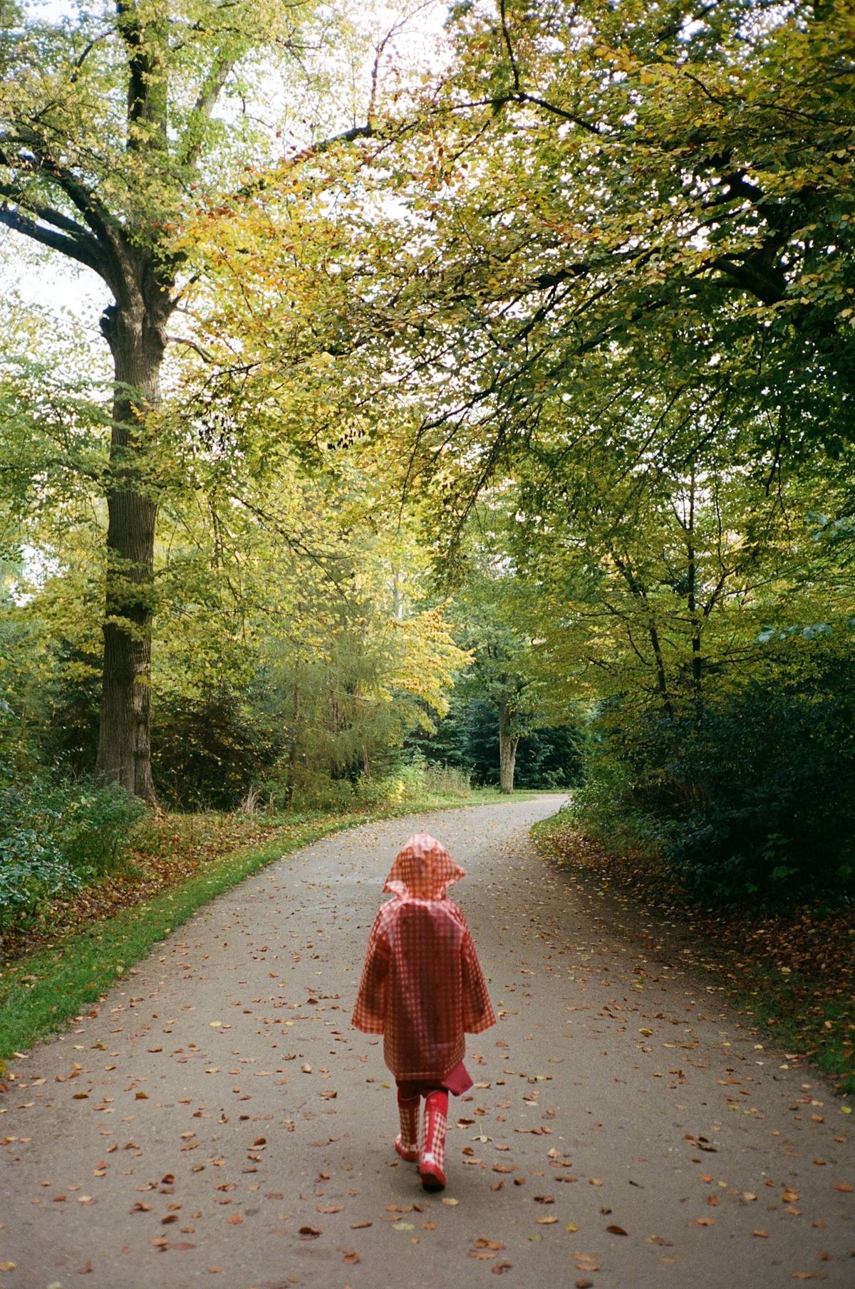 Iris Raincoat, Berry Gingham