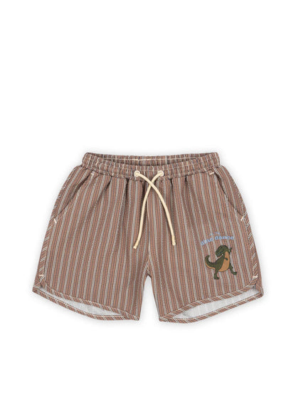 Asnou Swim Shorts, Tigers Eye