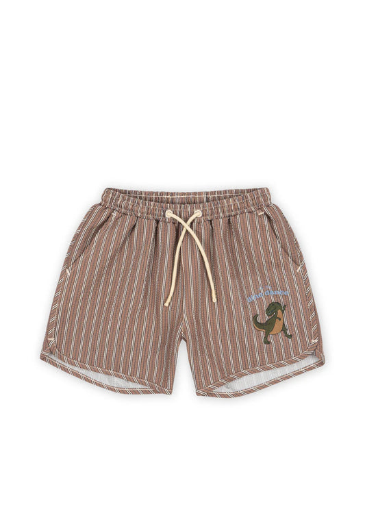 Asnou Swim Shorts, Tigers Eye