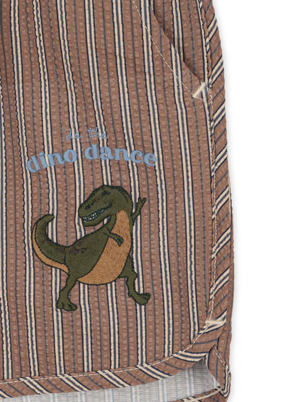 Asnou Swim Shorts, Tigers Eye