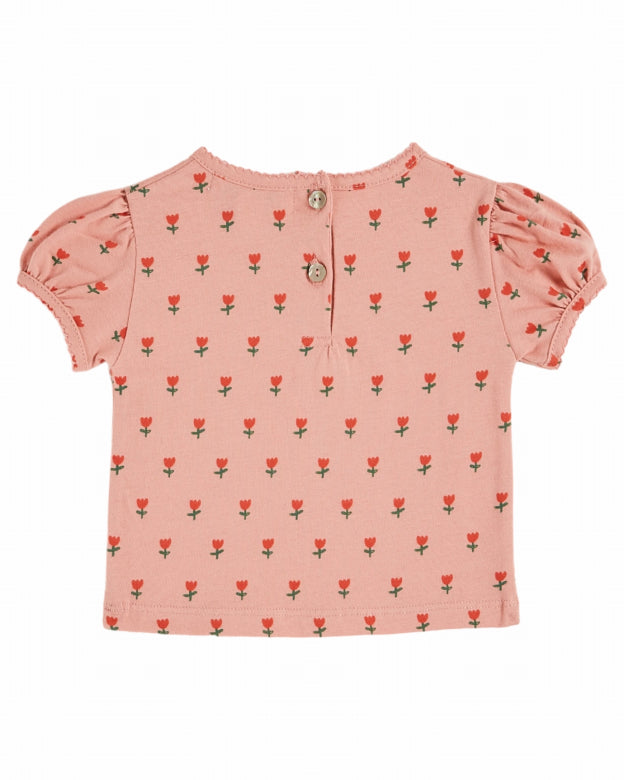 Tulip Top, Blossom
