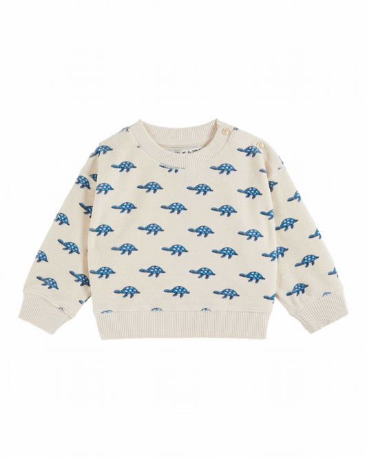 Terrycloth Sweatshirt, Turtles