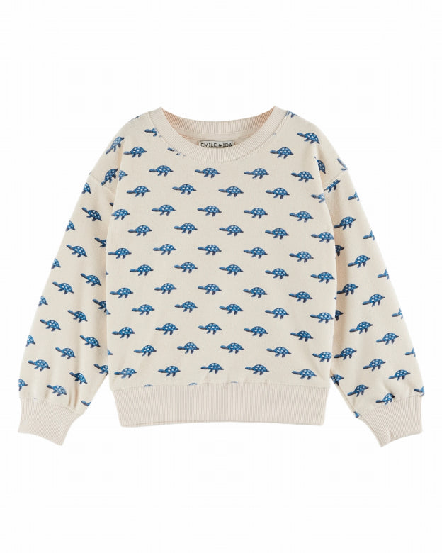 Terrycloth Sweatshirt, Turtles