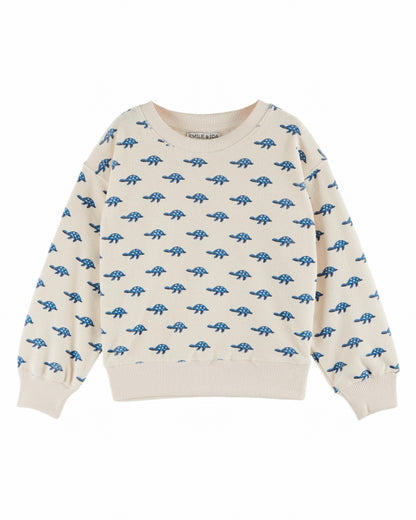 Terrycloth Sweatshirt, Turtles