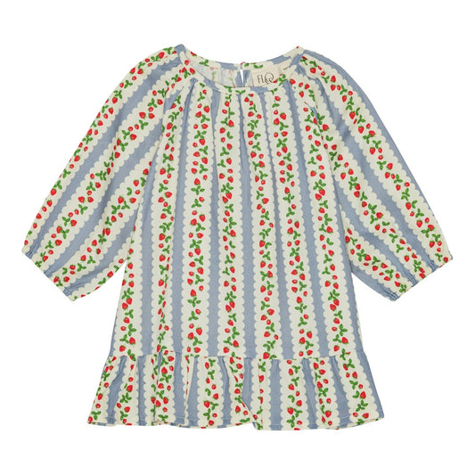 Ella Dress, Ella Aop