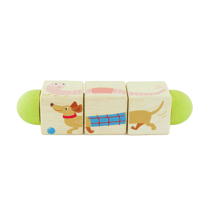 Tender Leaf Toys - Twisting Cubes