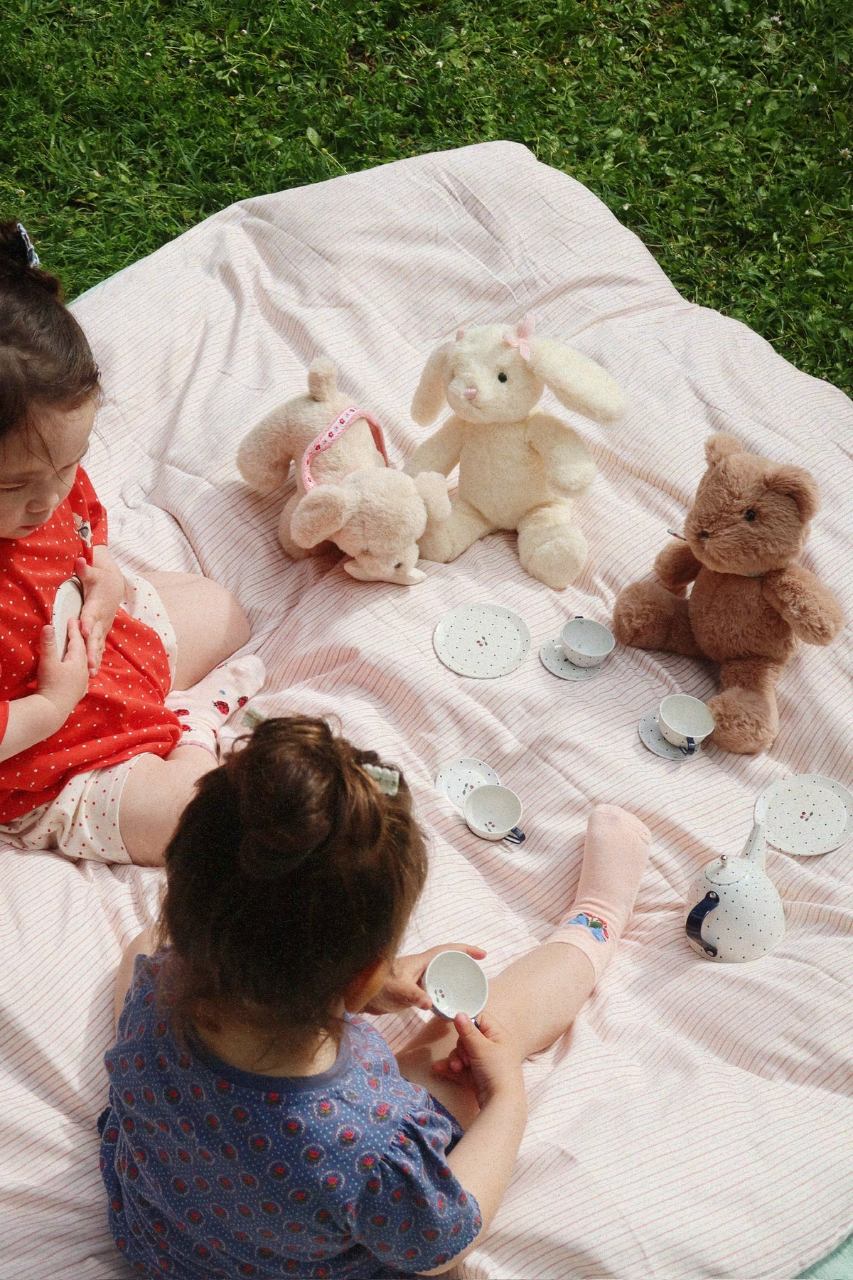 Tea Party, Blue Dot