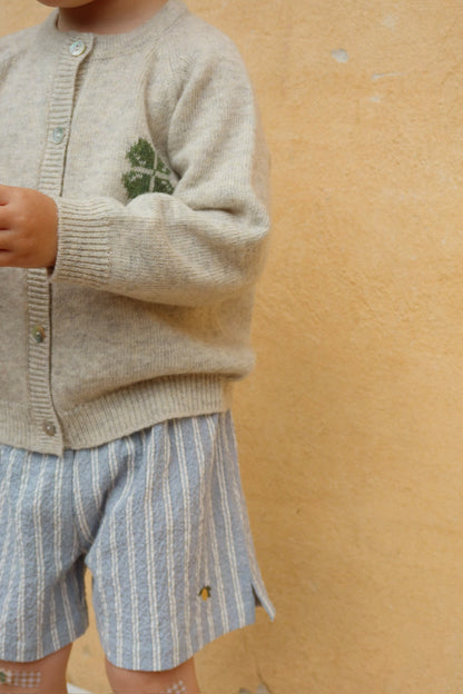 Elliot Shorts, Trio Stripe Bleu
