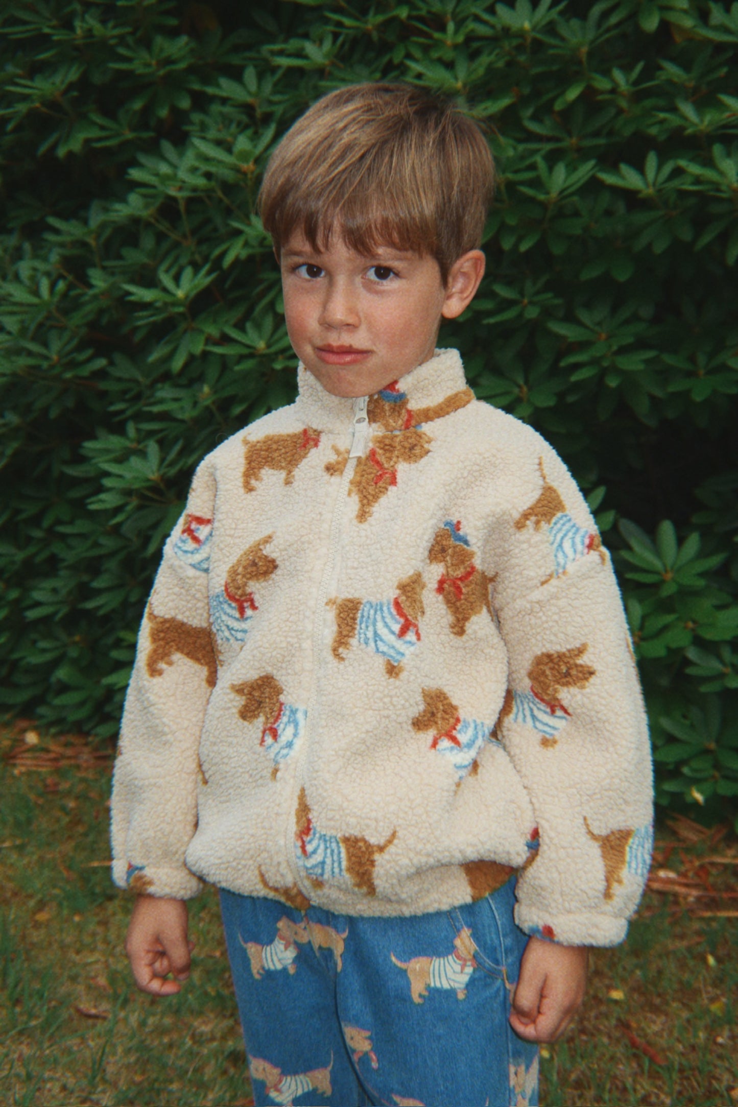 Jody Teddy Jacket, Bassotto