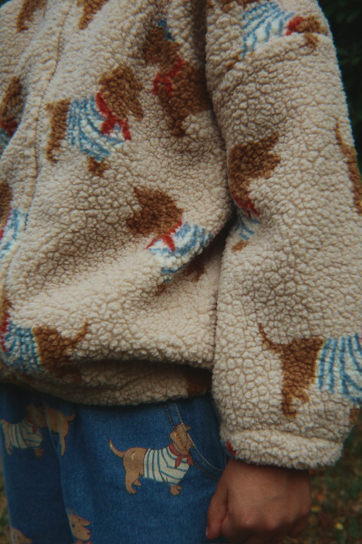 Jody Teddy Jacket, Bassotto