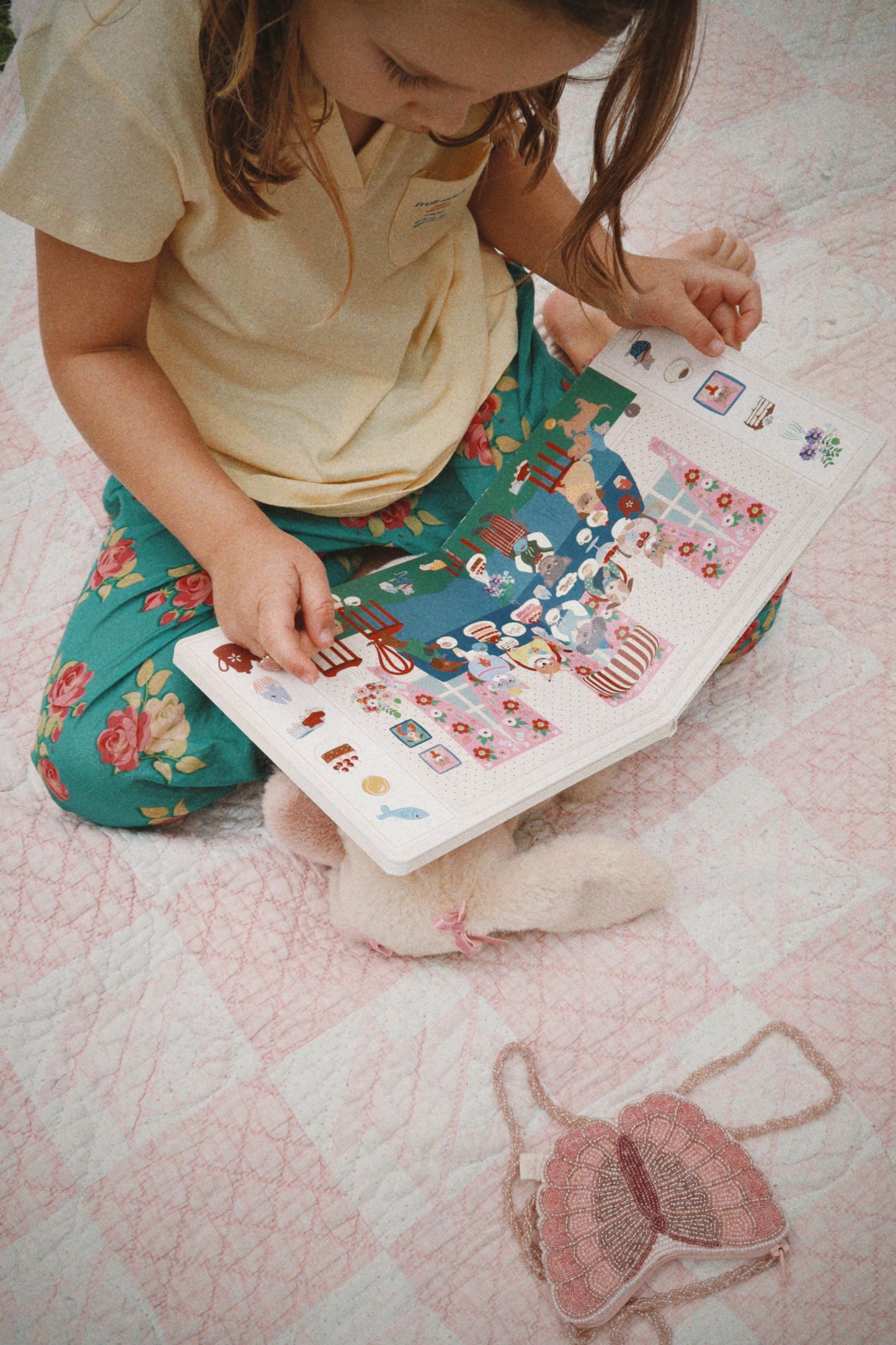 Seek and Find Book, Multi