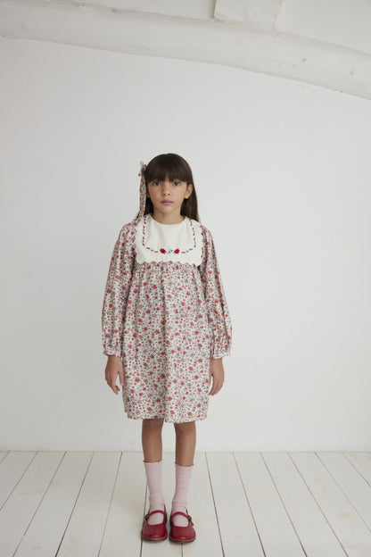 Clementine Dress, Sweet Roses