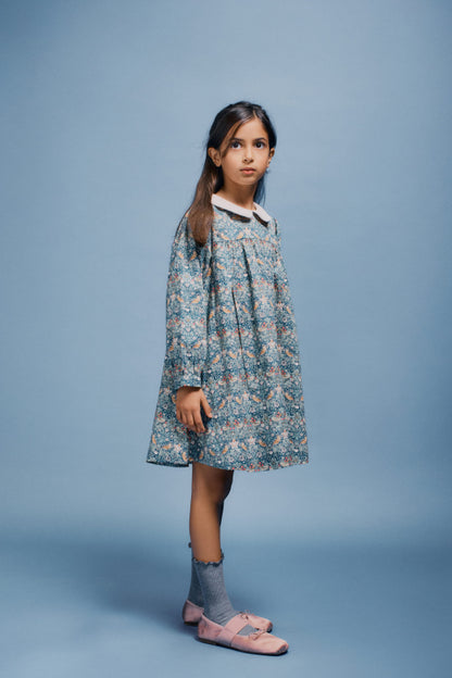 Grace Dress, Liberty Strawberry
