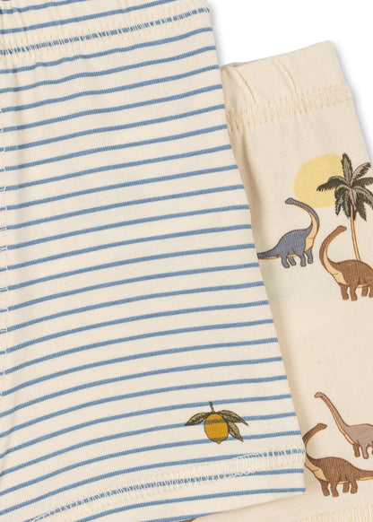 Basic 2 Pack Boy Boxers, Kubi/Stripe Blue