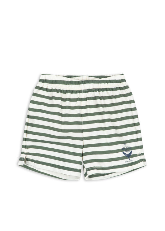 Asnou Swim Shorts, Stripe Verti