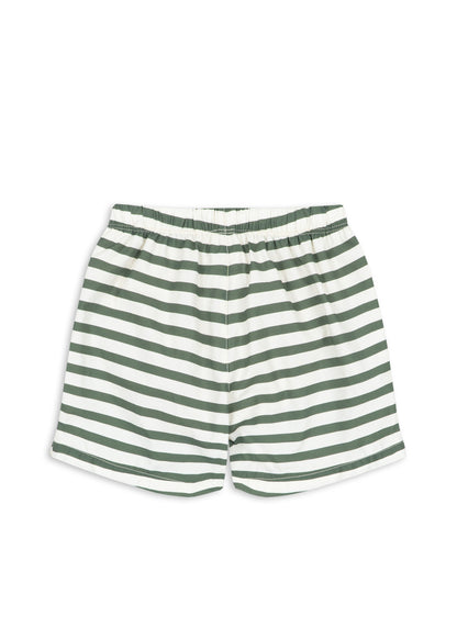 Asnou Swim Shorts, Stripe Verti