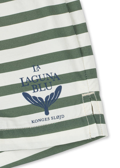 Asnou Swim Shorts, Stripe Verti
