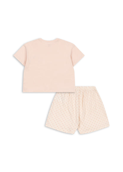 Famo Box Fit Set,Pirouette Dot/Creole Pink