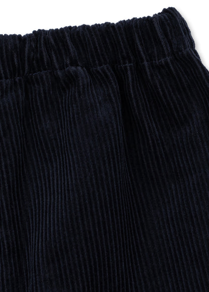 Sully Pants, Total Eclipse